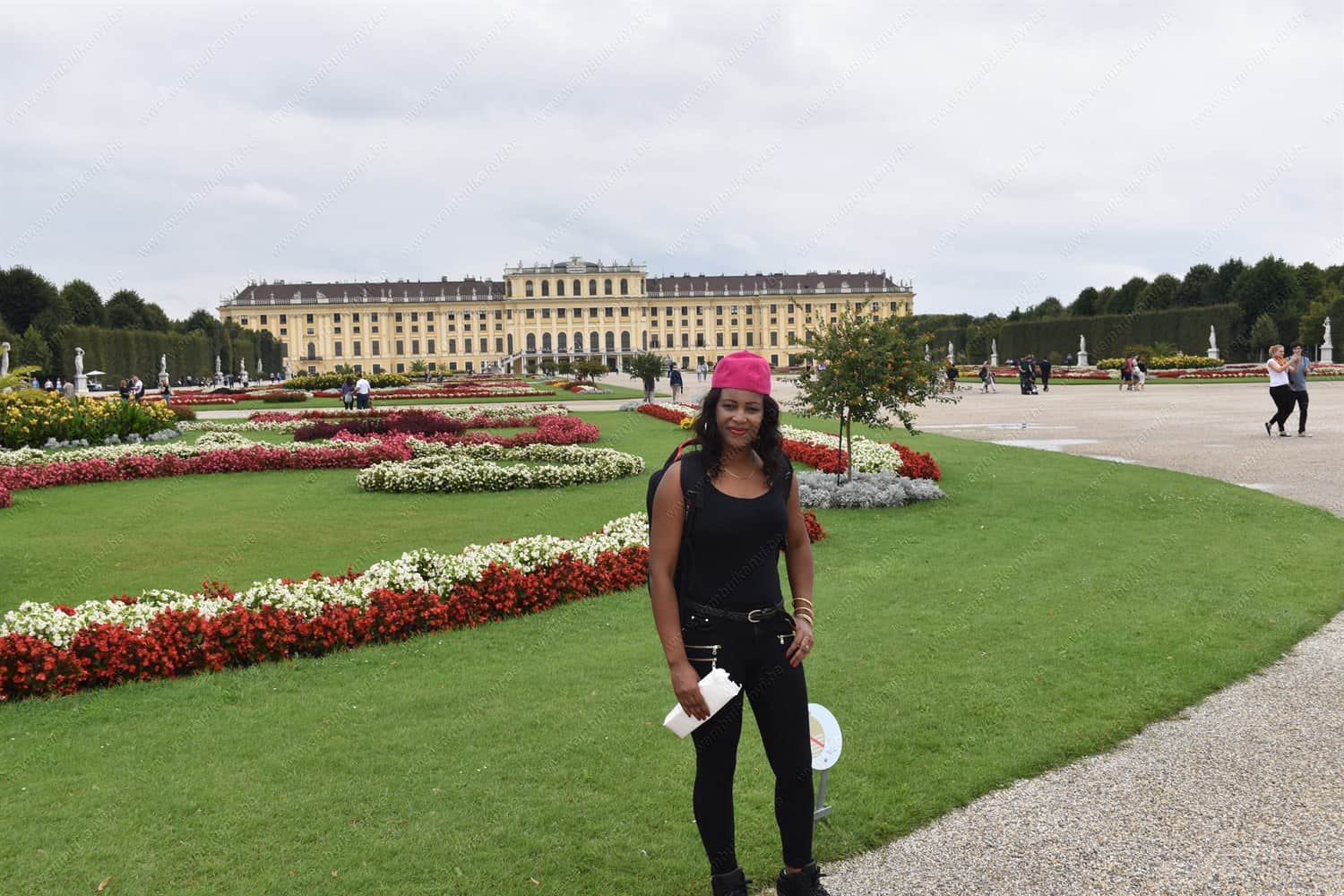 You are currently viewing Top Things to do in Vienna Austria