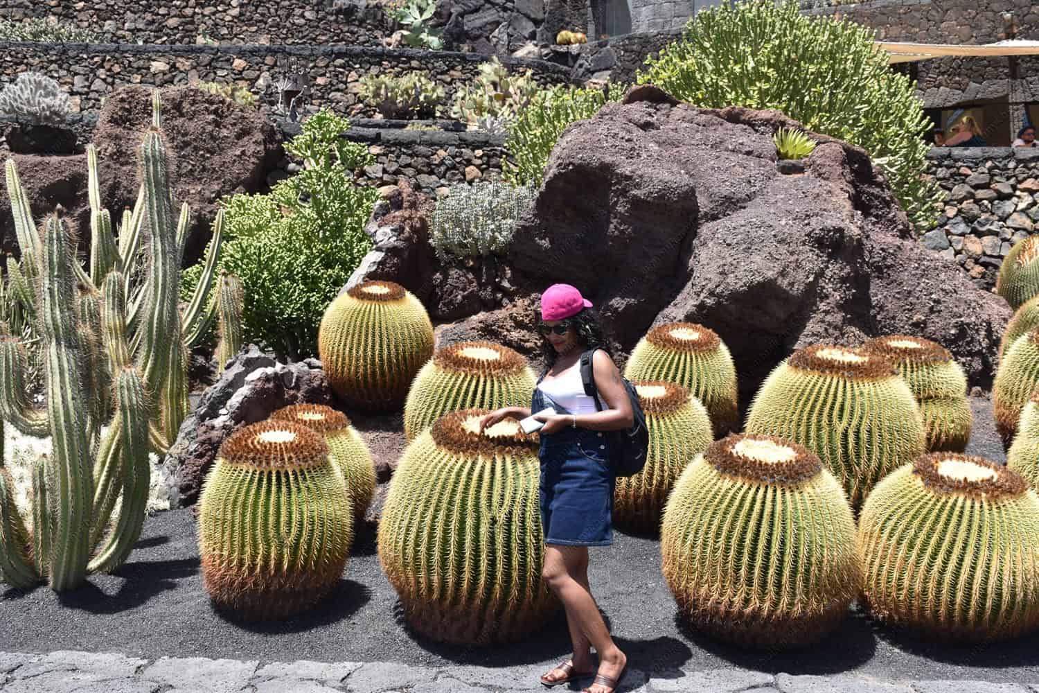 You are currently viewing Jardines de Cactus in Lanzarote